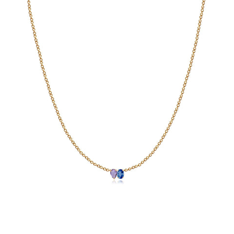 Small Two-Gemstones Necklace